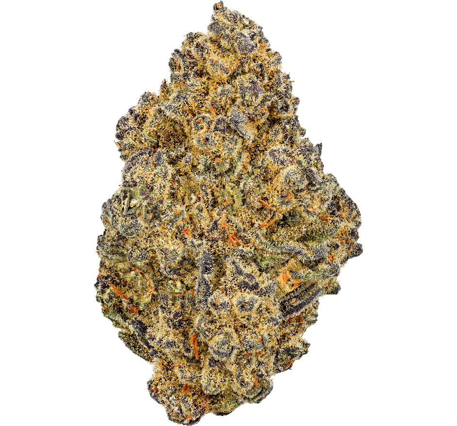 Ice Cream Cookies Strain