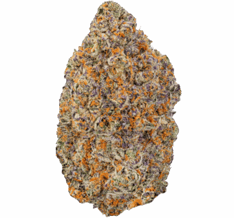 Ice Cream Pie Strain