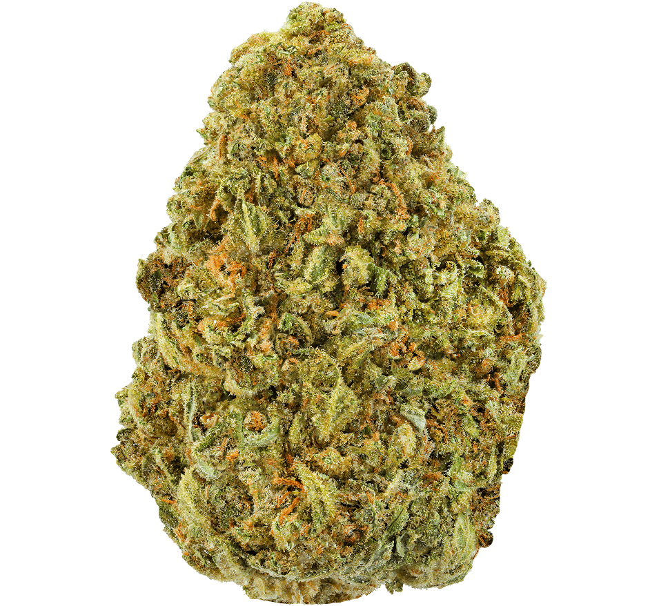 Key Lime Pie Strain