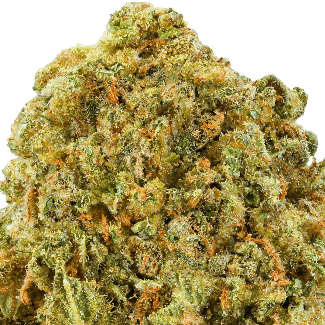 Key Lime Pie Strain