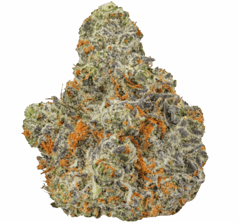 Kundalini Sherbert Strain