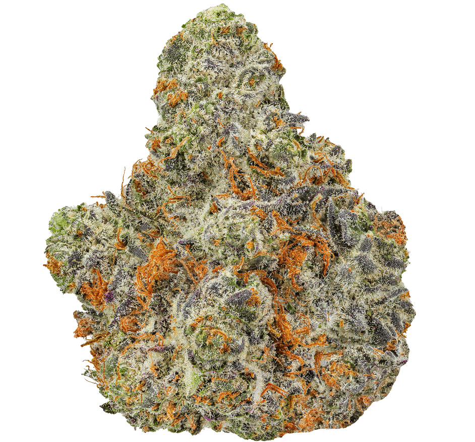 Kundalini Sherbert Strain