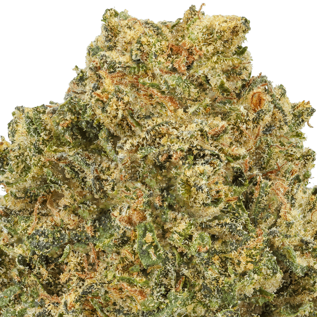 Lemon Cherry Strain