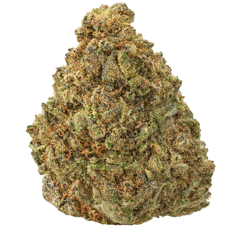 Mac-1-Strain (3) MAC 1 Strain