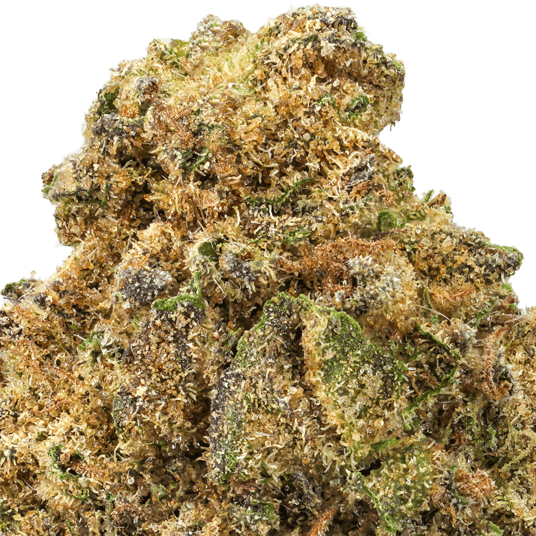 Mac-1-Strain-macro (2) MAC 1 Strain