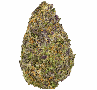 Purple Nebula Strain