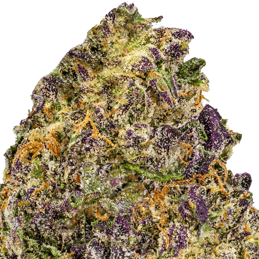 Purple Nebula Strain
