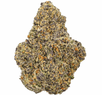 Purple Punch Strain