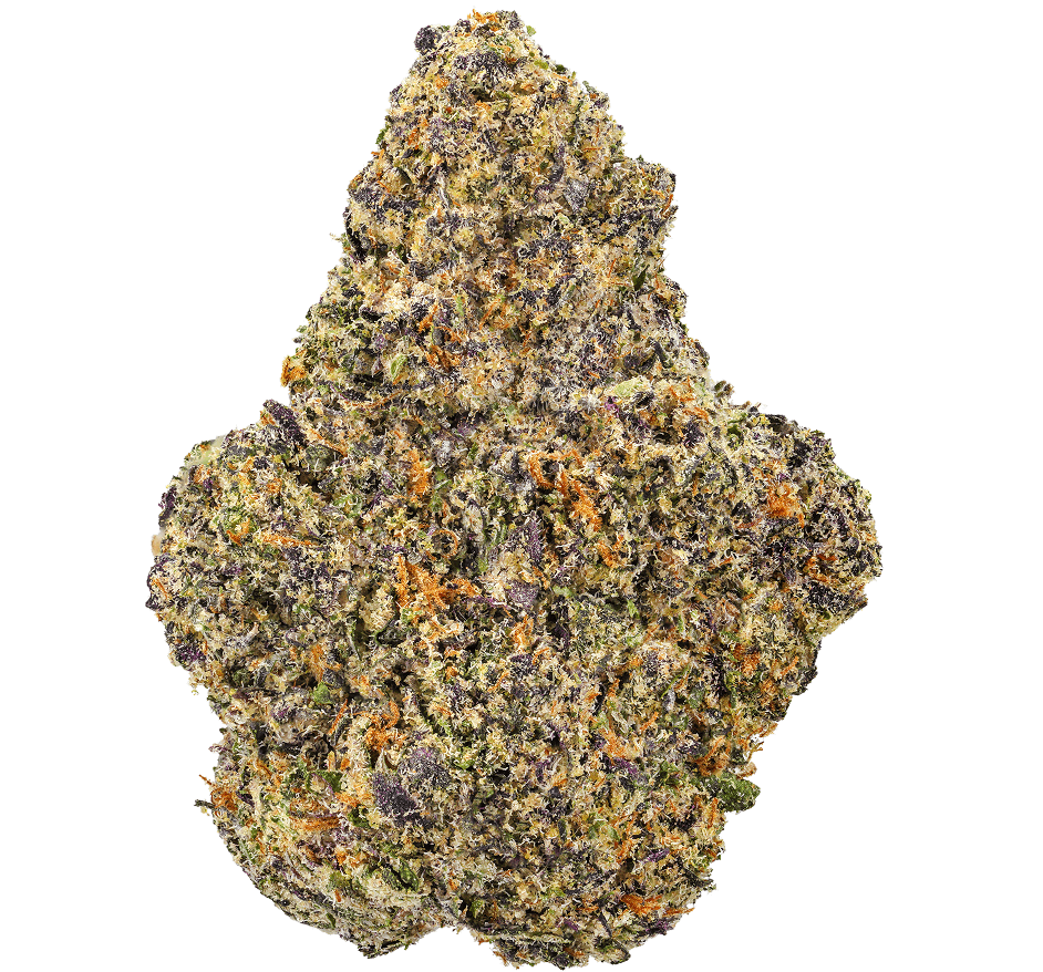 Purple Punch Strain