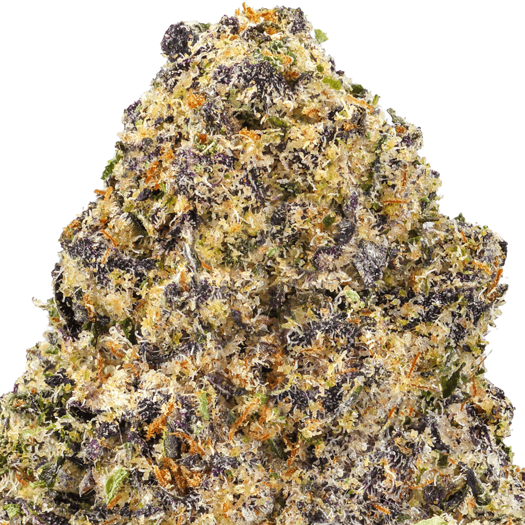 Purple Punch Strain