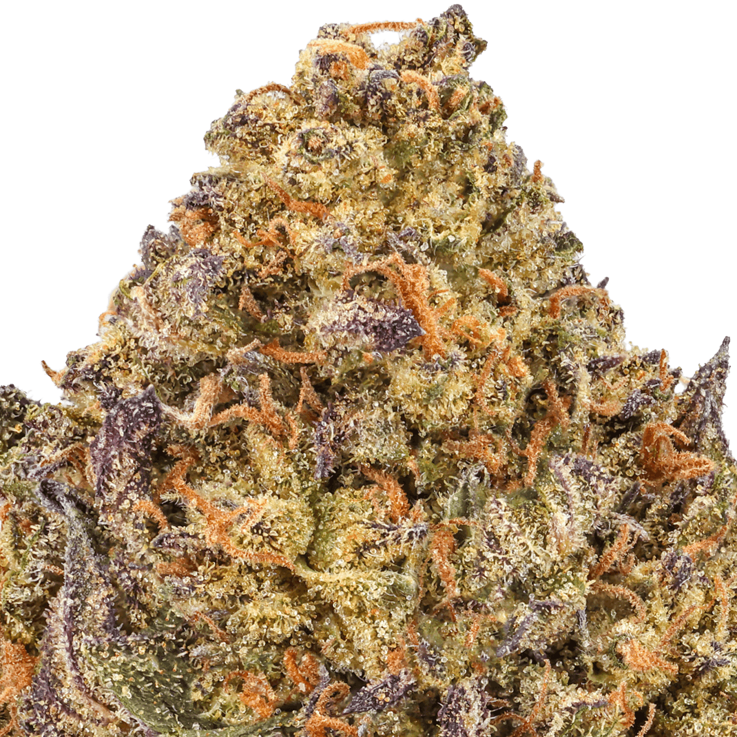 Sour-Runtz-Strain-macro (2) Sour Runtz Strain