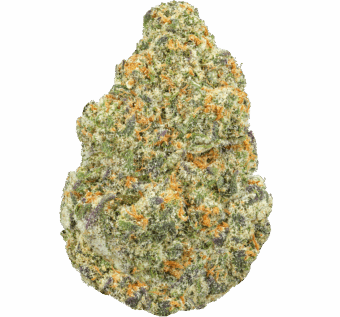 Sour WIFI Cookies Strain
