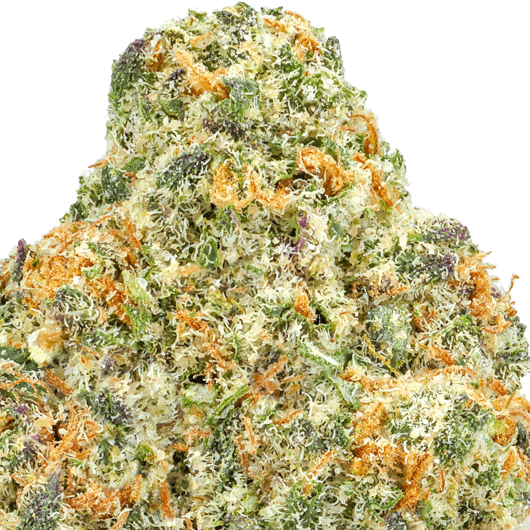 Sour WIFI Cookies Strain