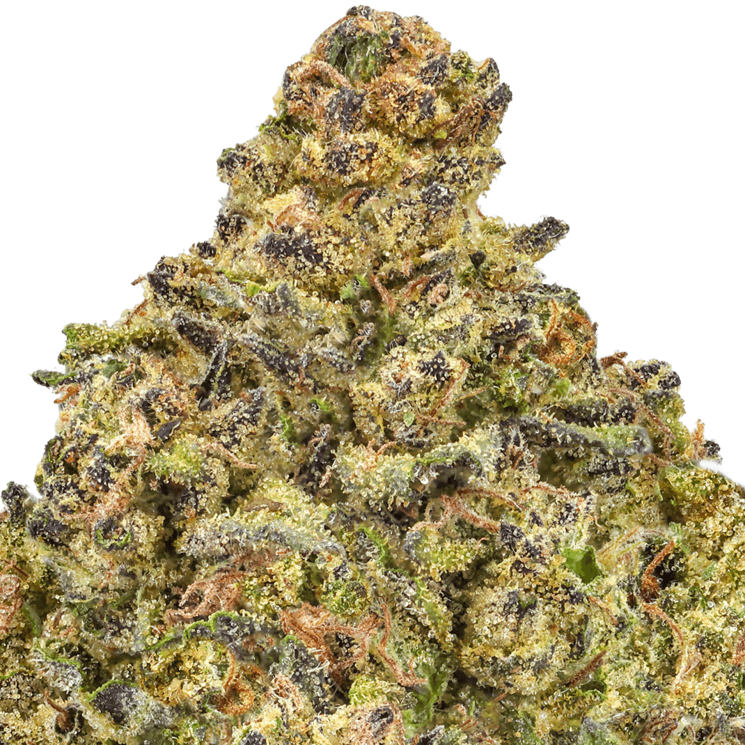 Truffle Tartz Strain