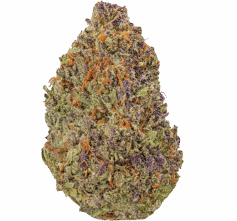 Watermelon Zkittlez Strain