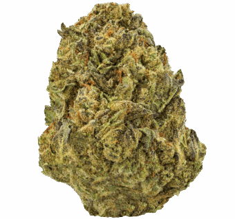 Wedding-Cake-Strain (1) Wedding Cake Strain