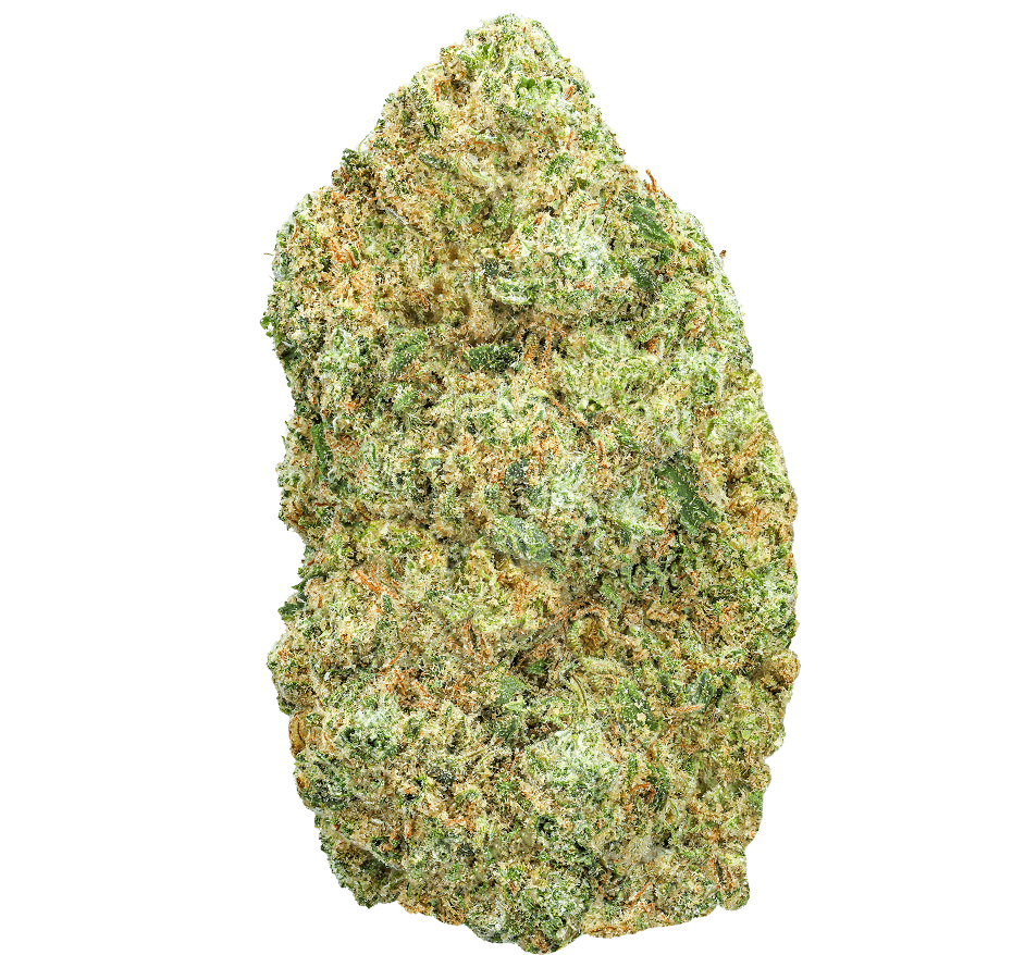 White Russian Strain
