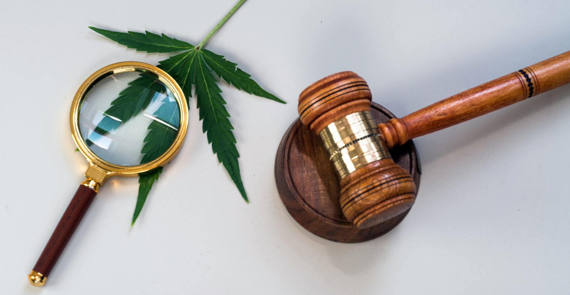 Is THCA Banned in North Carolina? Hemp Bill Update
