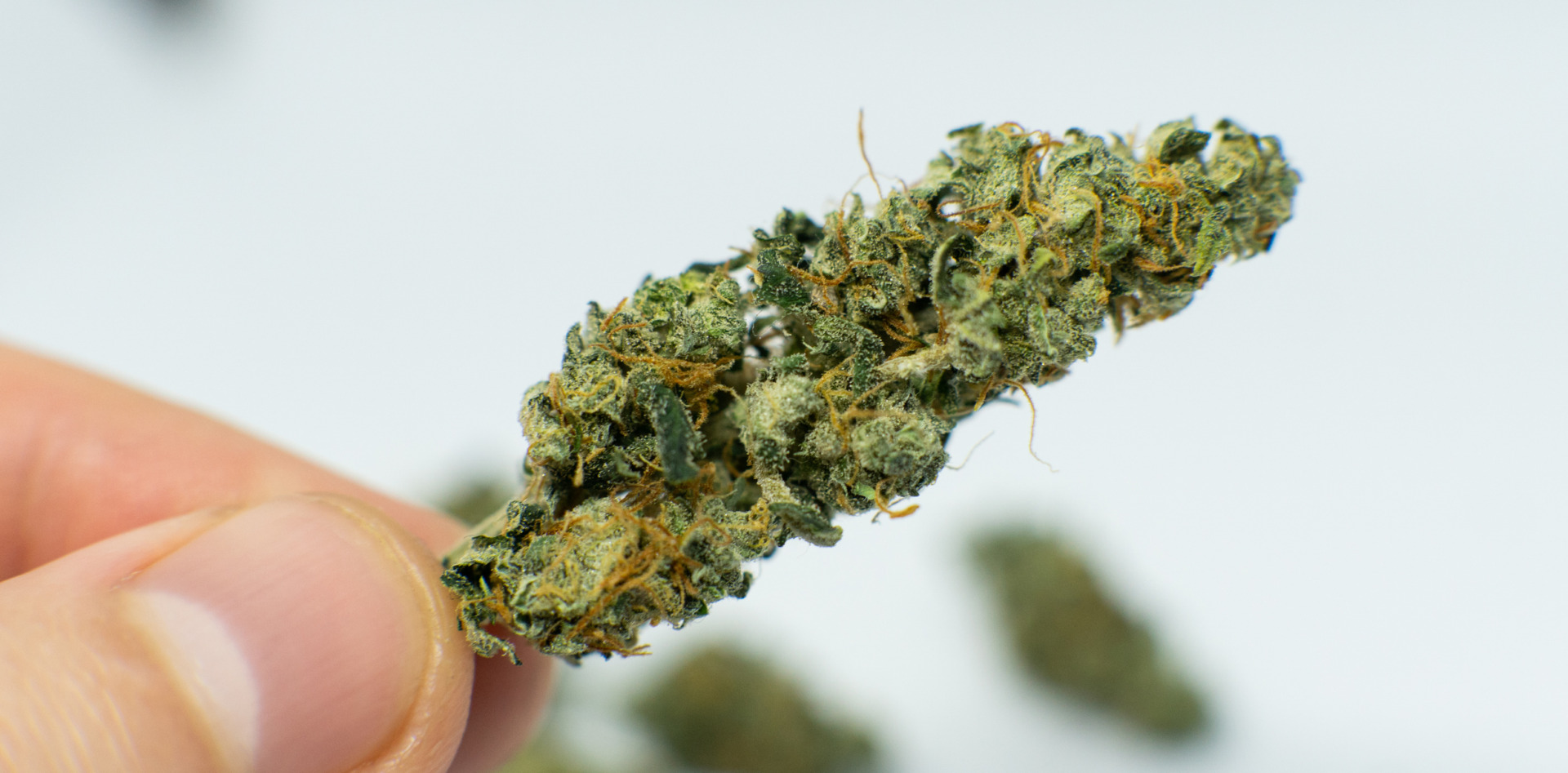 THCA Benefits: What the Research Actually Suggests