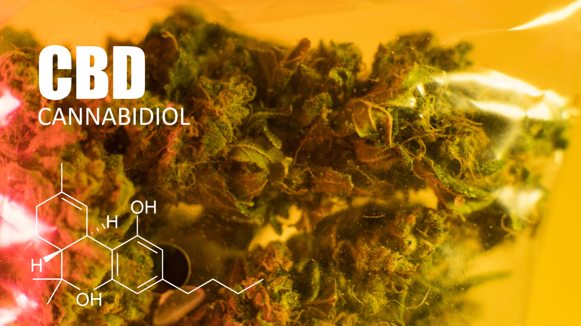 THCA vs. CBD: Key Differences in Effects, Benefits & Legality