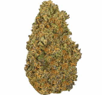 Alaskan Ice Cream Strain