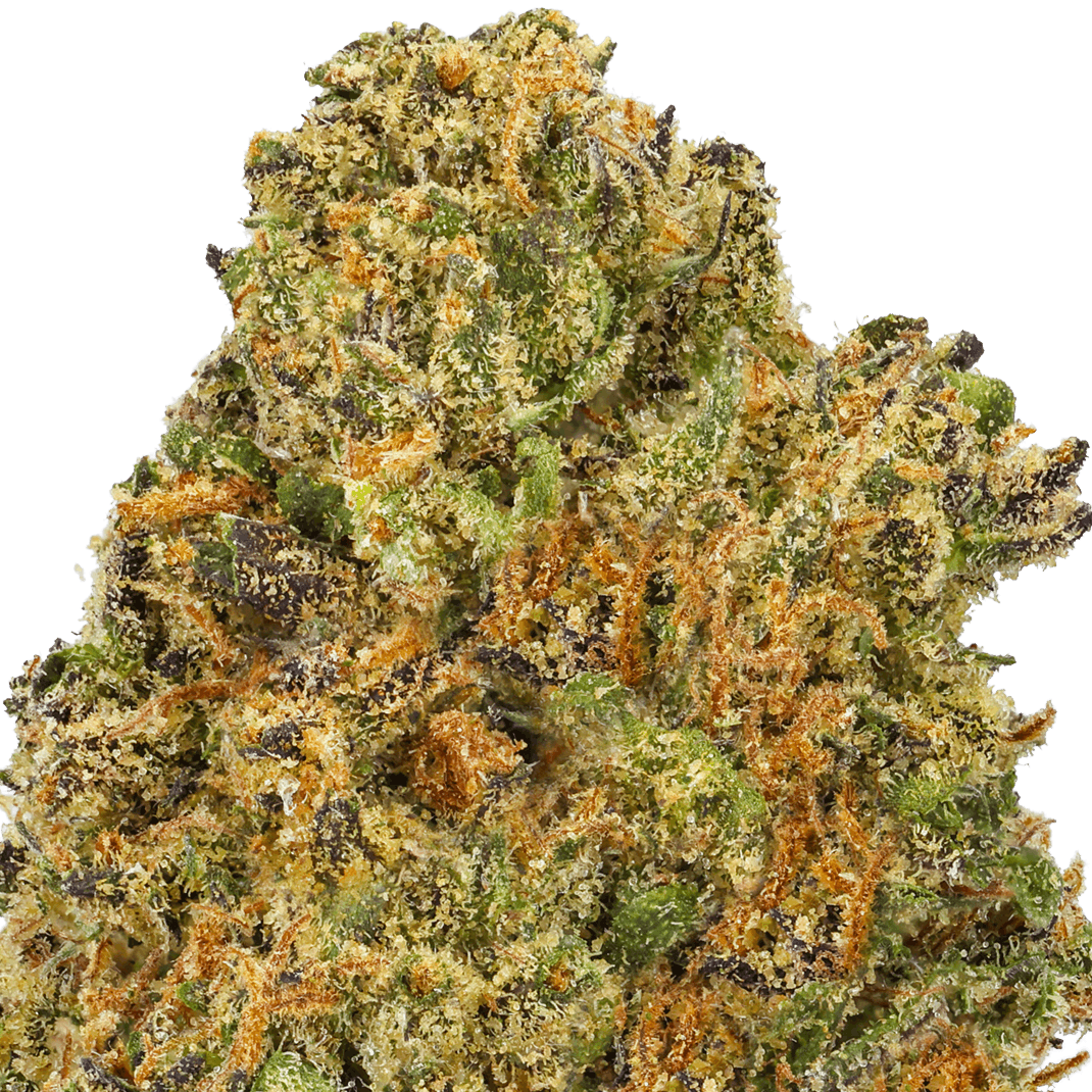 Alaskan Ice Cream Strain