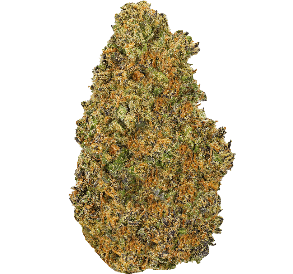 Alaskan Ice Cream Strain