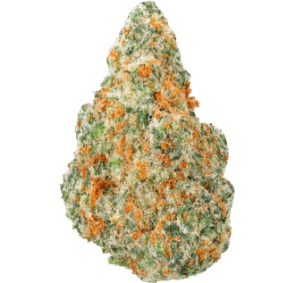 Aloha Sugar Strain