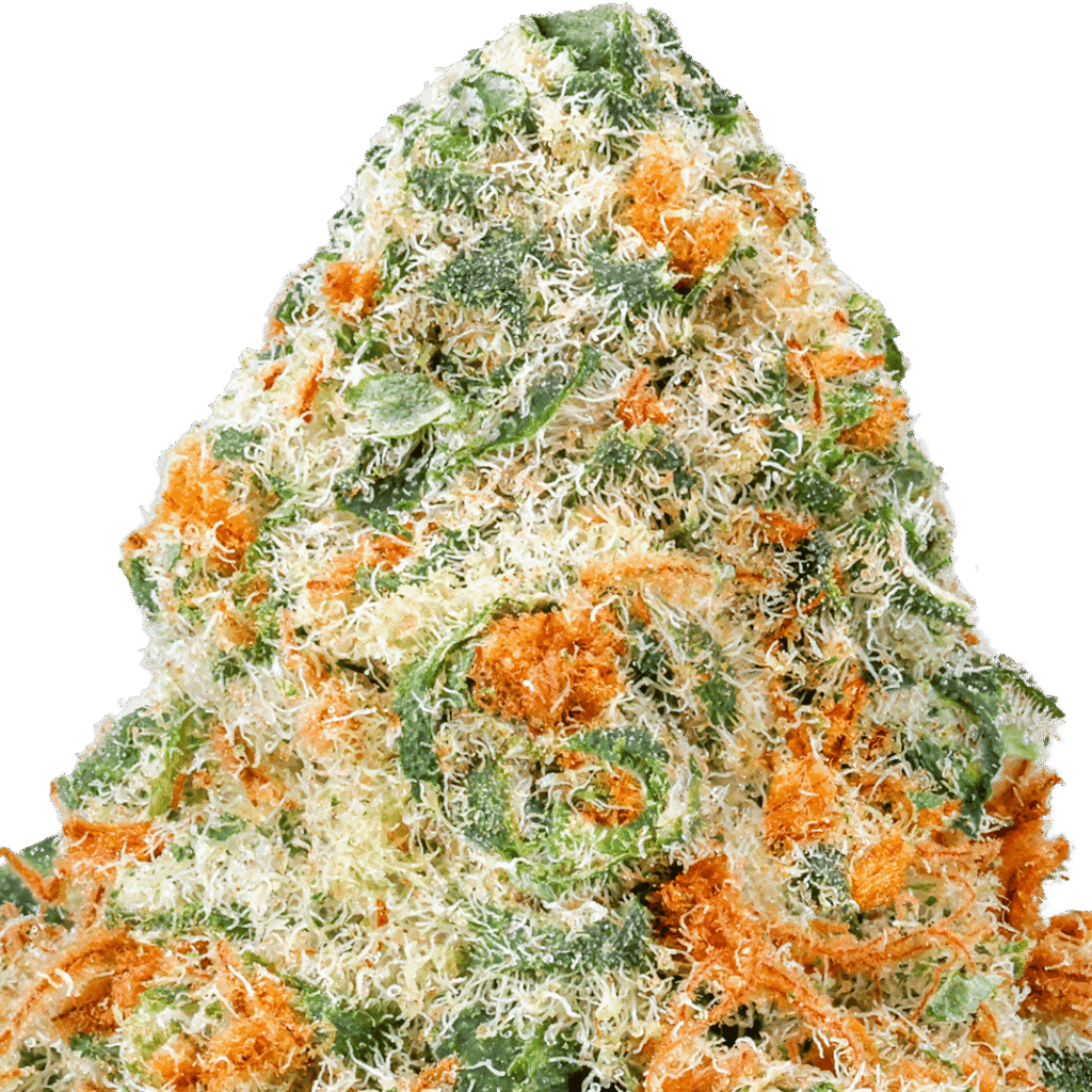 Aloha Sugar Strain