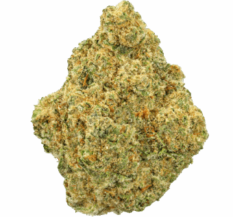 Banana Zkittlez Strain