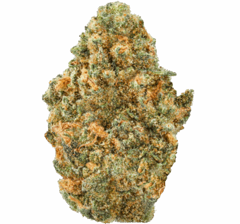 Bangerine Strain