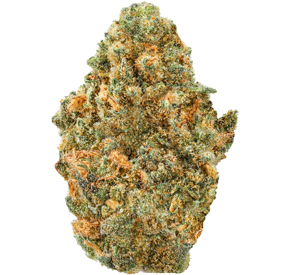 Bangerine Strain