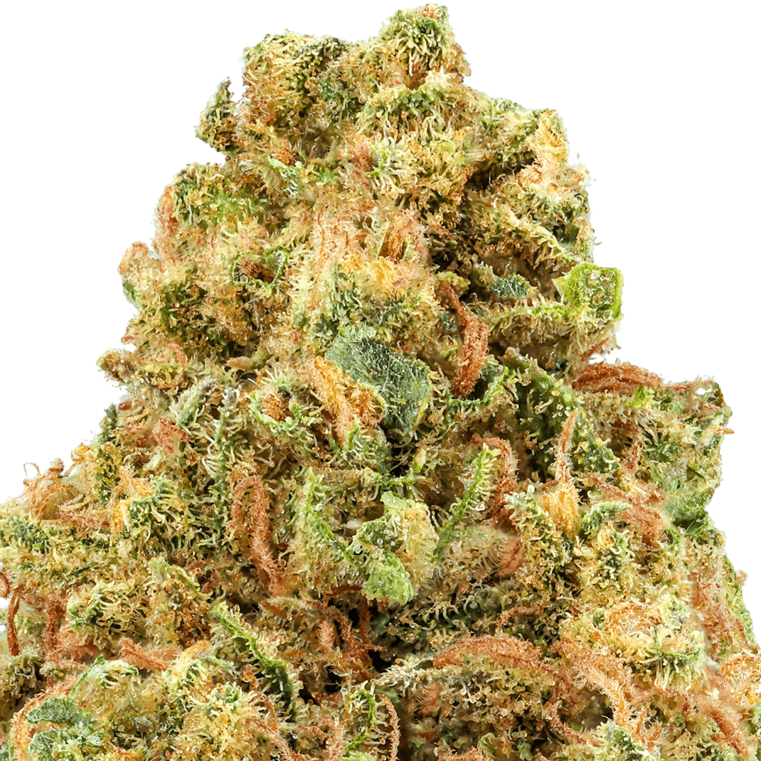 Bangerine Strain