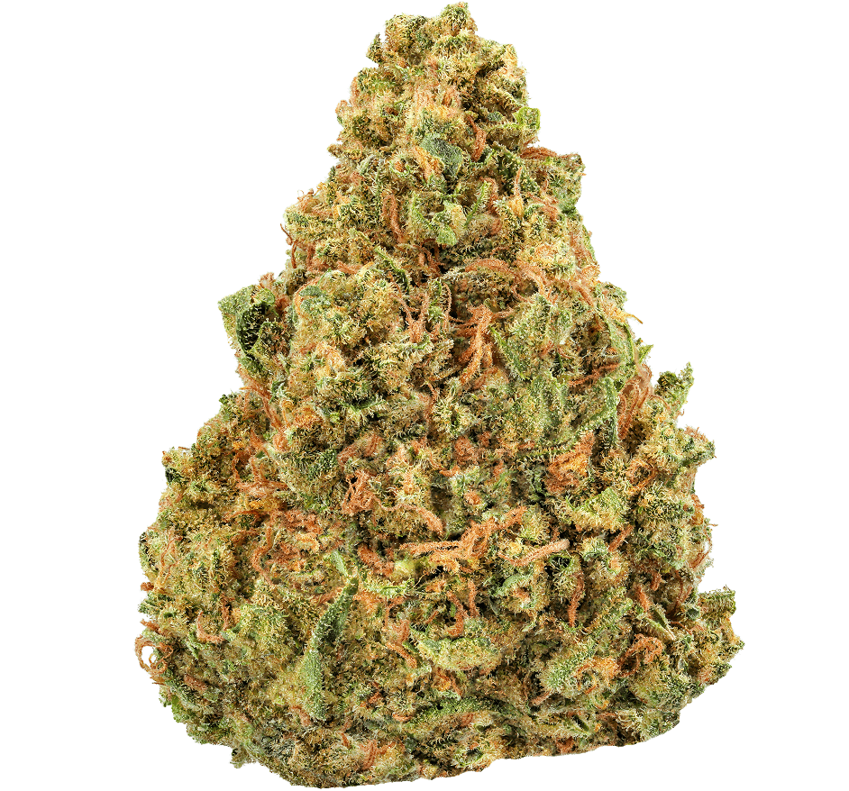 Bangerine Strain