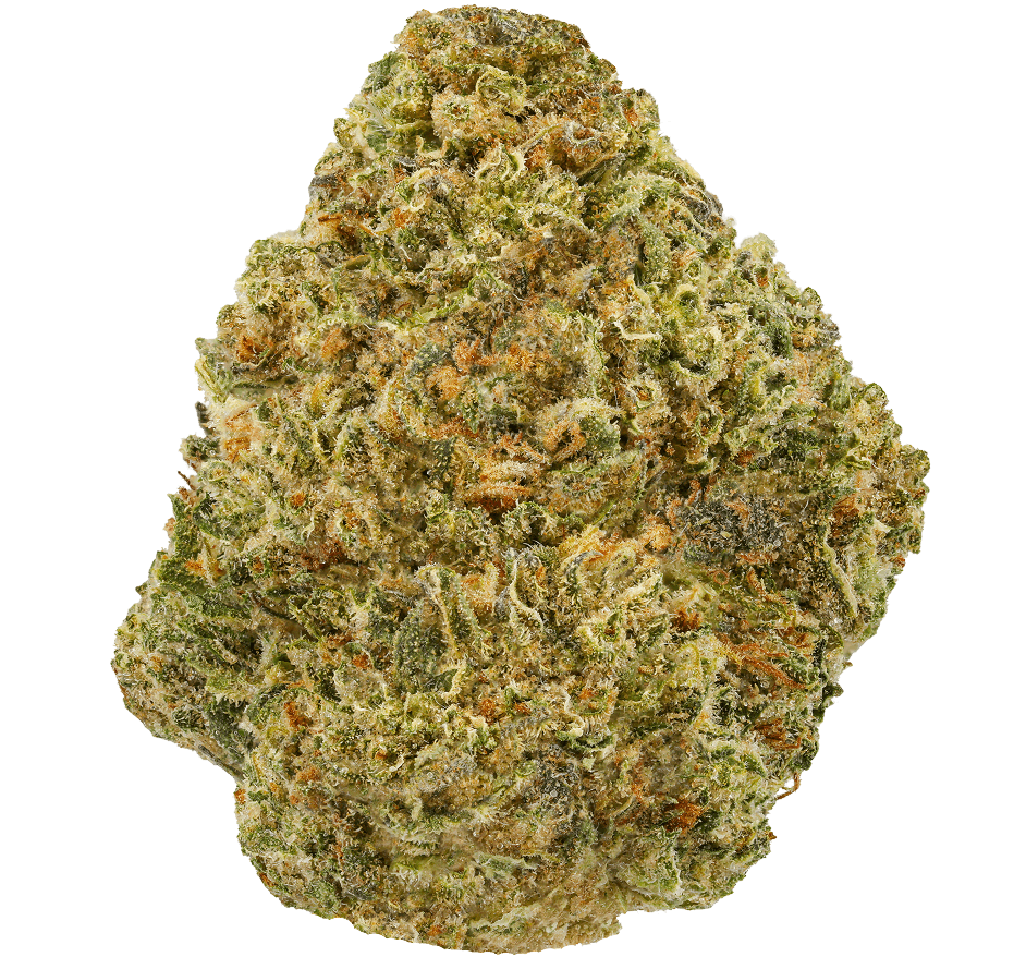 Big-Gorilla-Mac-Strain (2) Big Gorilla MAC Strain