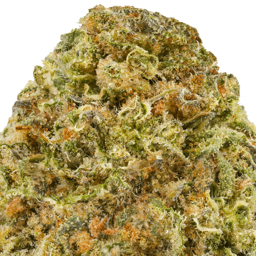 Big-Gorilla-Mac-Strain-macro (1) Big Gorilla MAC Strain