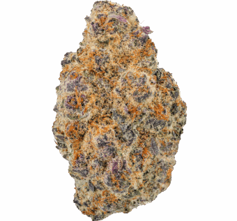 Black Ice Strain