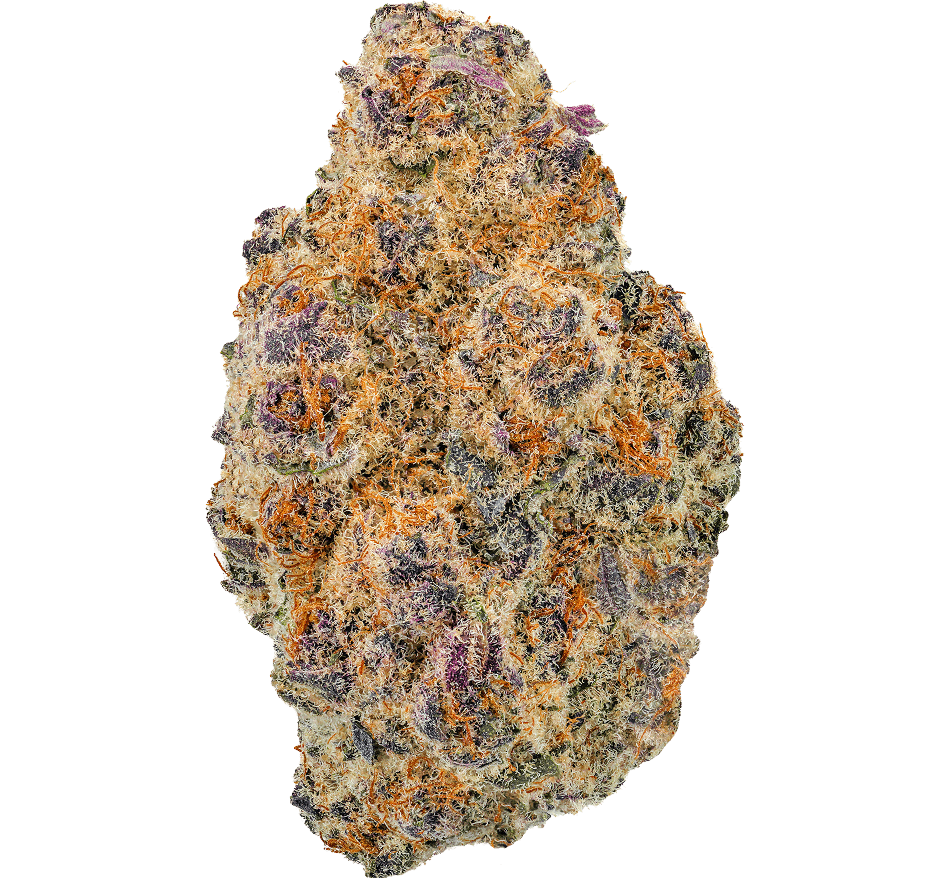 Black Ice Strain