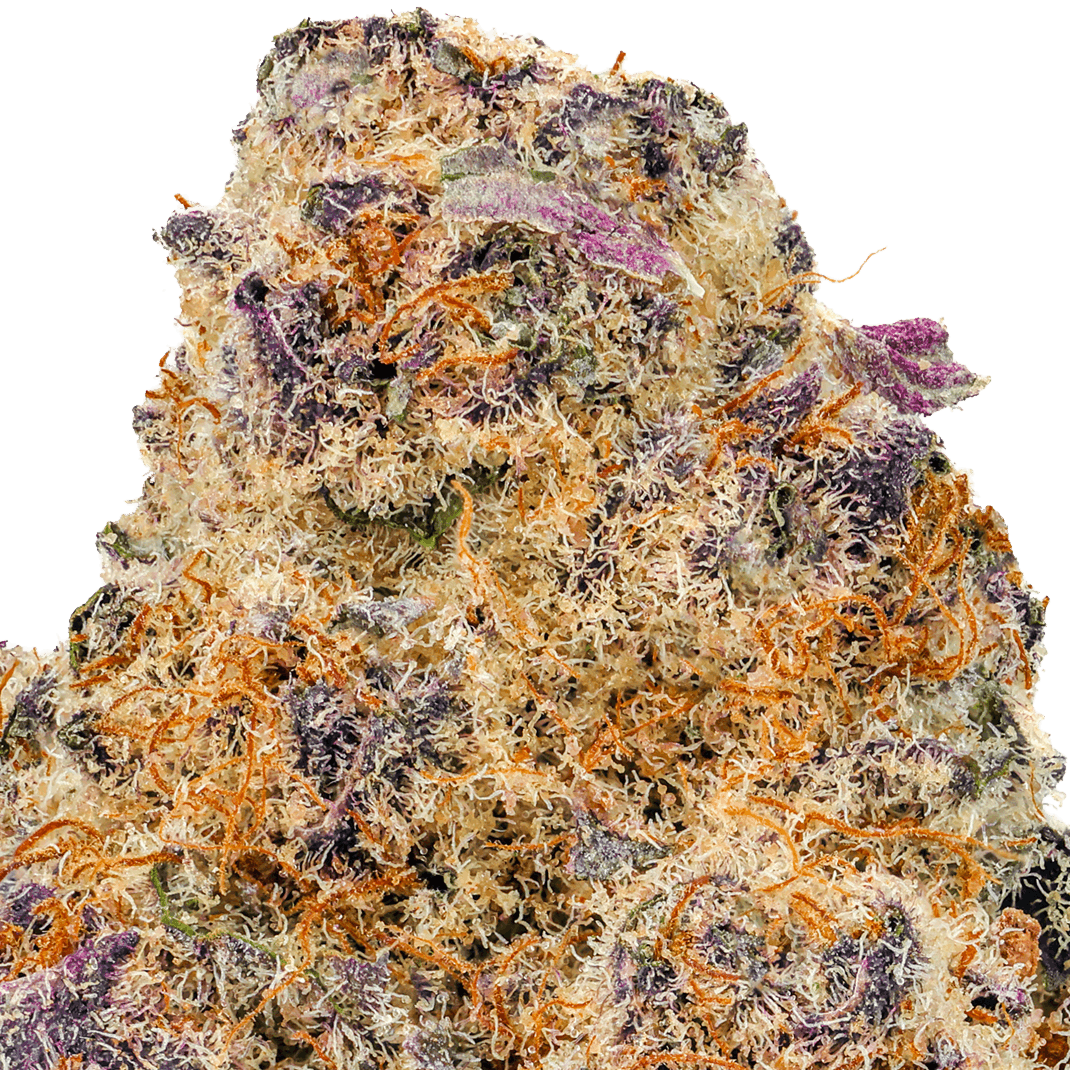 Black Ice Strain