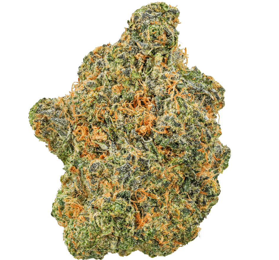 Black Maple Strain