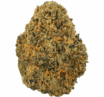 Divine Banana Strain