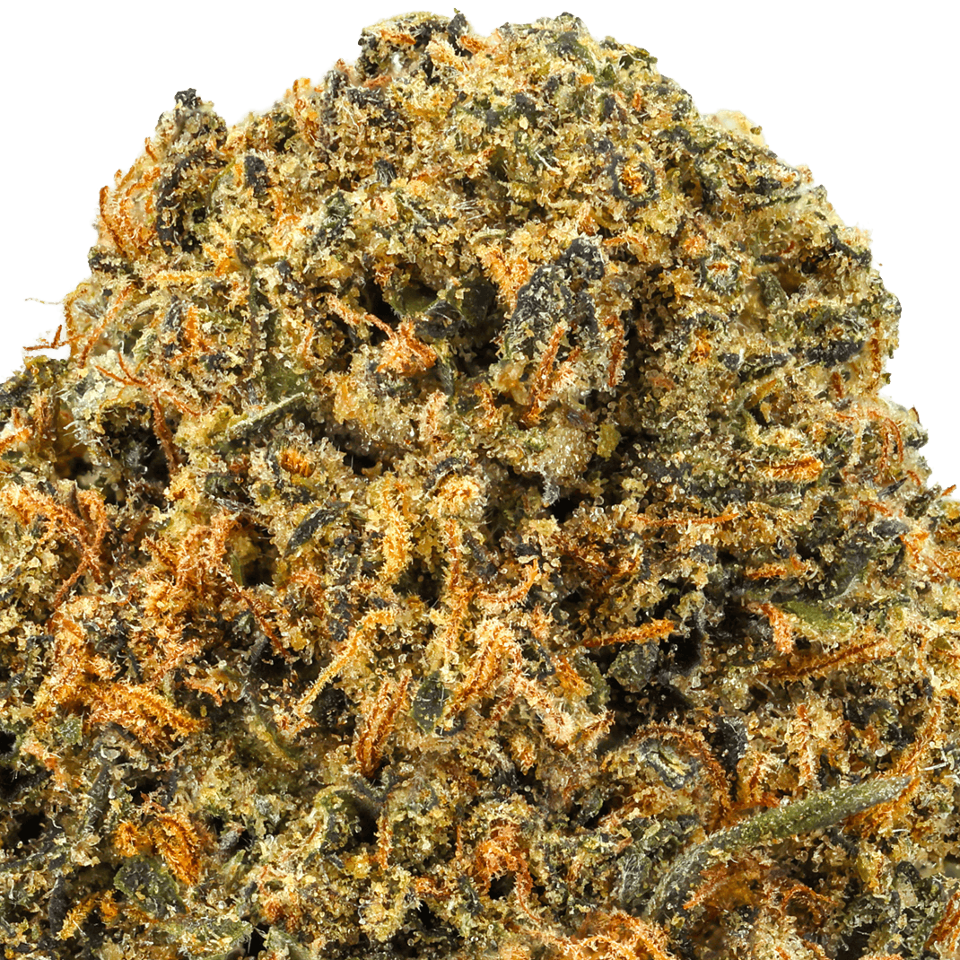 Divine Banana Strain