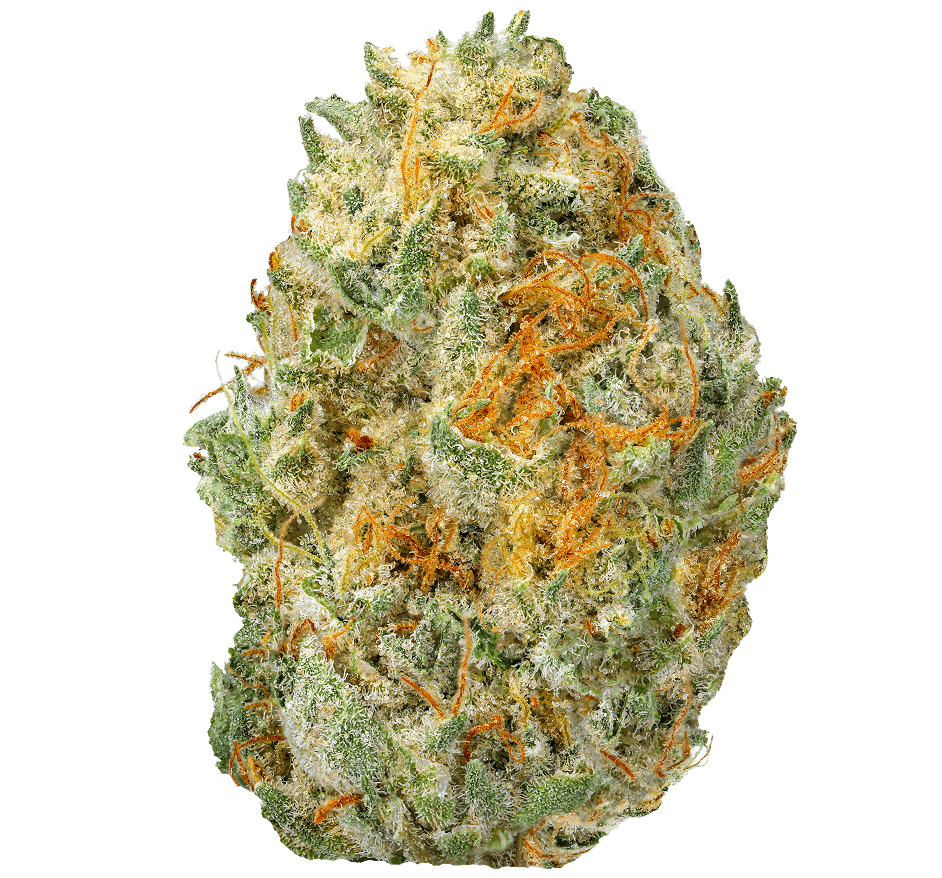 Gelato 41 Strain