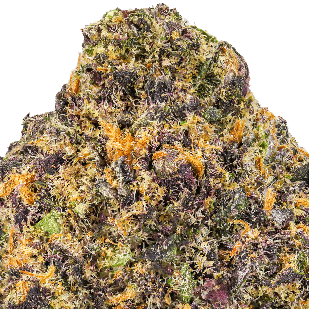 Gelato Runtz Strain