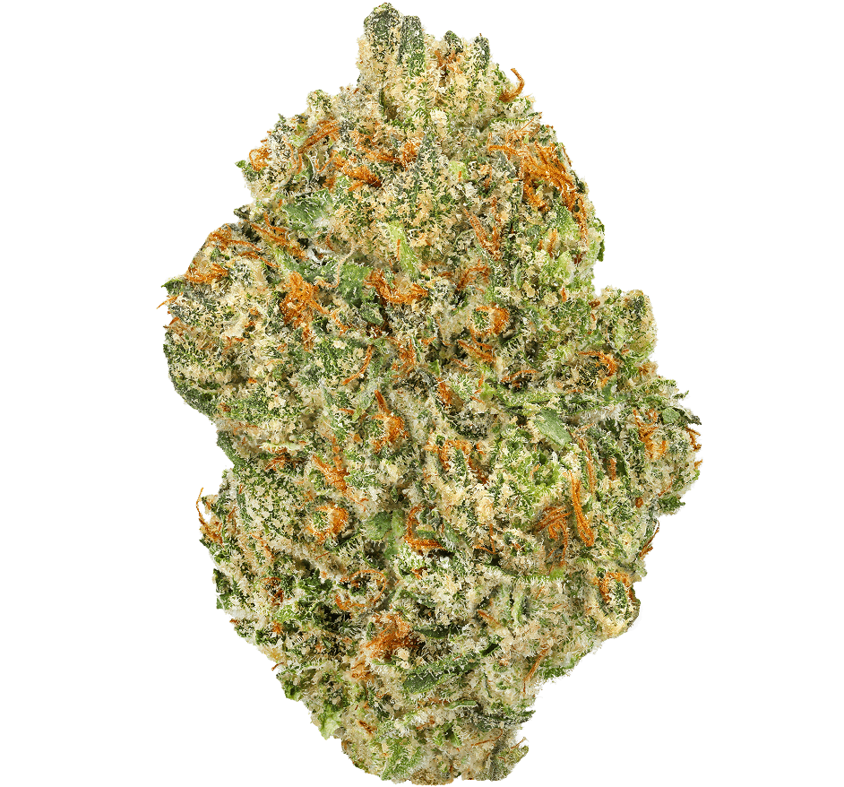 Georgia Apple Pie Strain