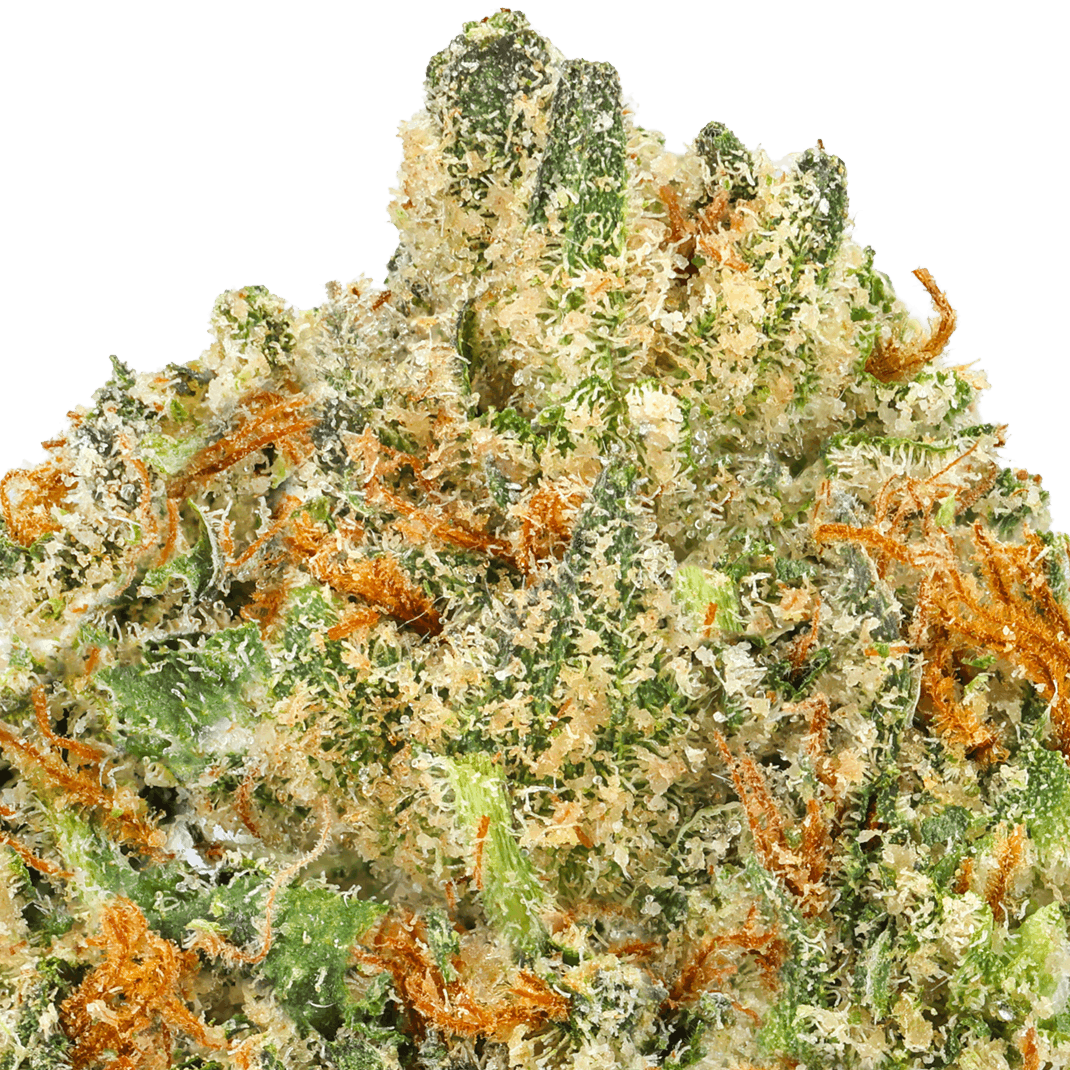 Georgia Apple Pie Strain