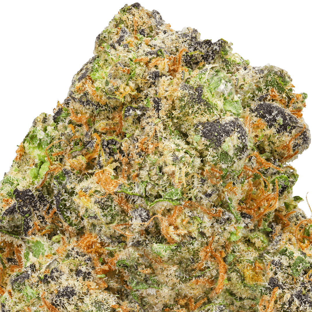 Governmint-Oasis-Strain-macro GovernMint Oasis Strain