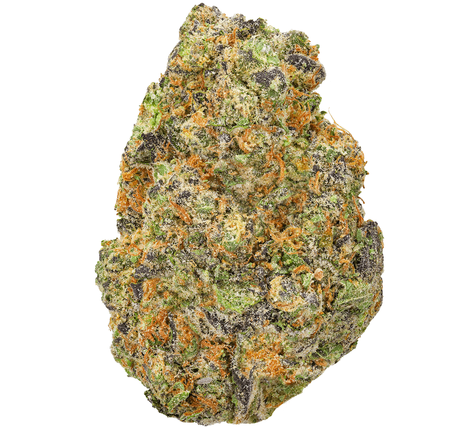 Governmint-Oasis-Strain GovernMint Oasis Strain