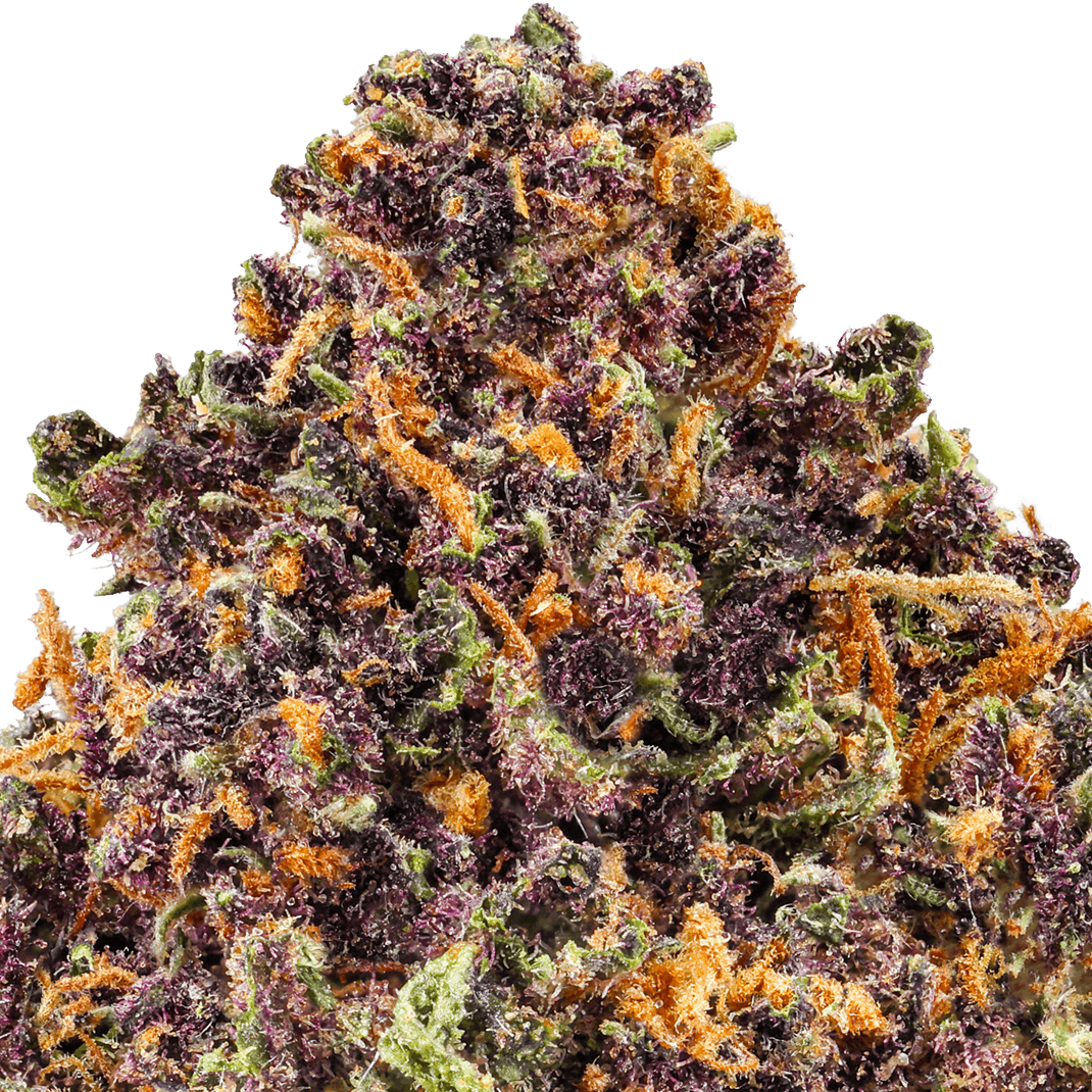 Grape Gas Strain