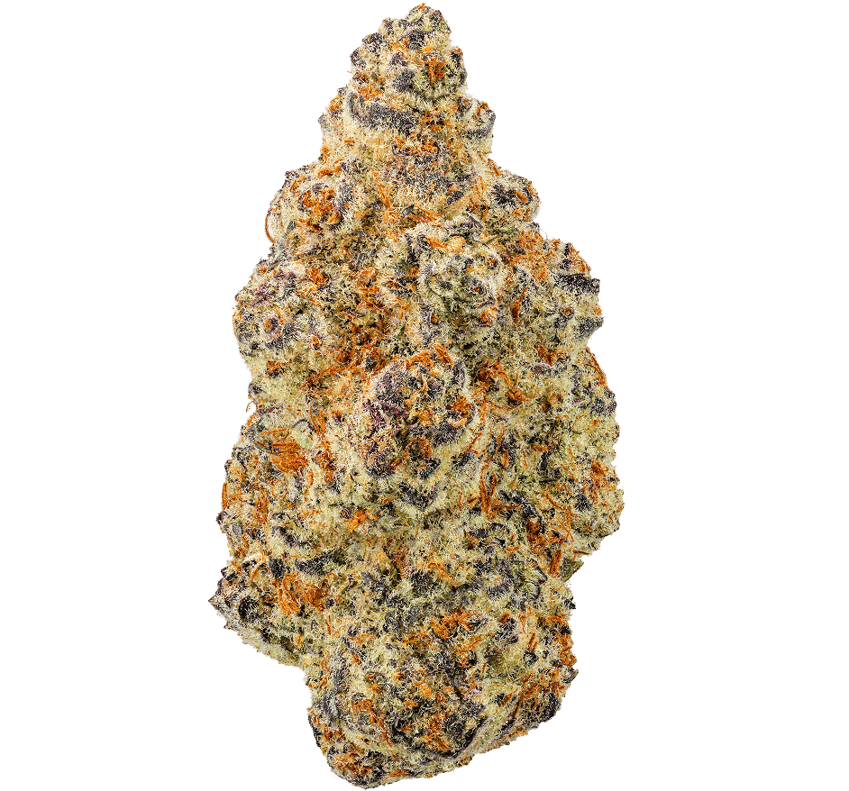 Grape Jelly Strain